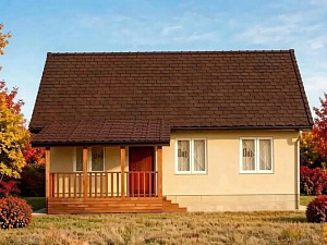Одноэтажный дом «Форестер» 71 м2 с террасой